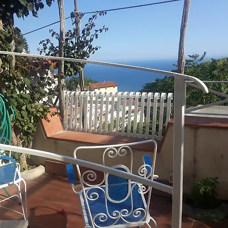 Holiday Via Case Sparse *